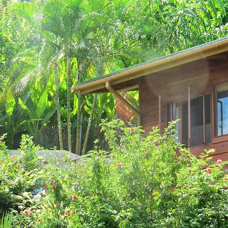 Apartamento Castara Retreats Habitación foto