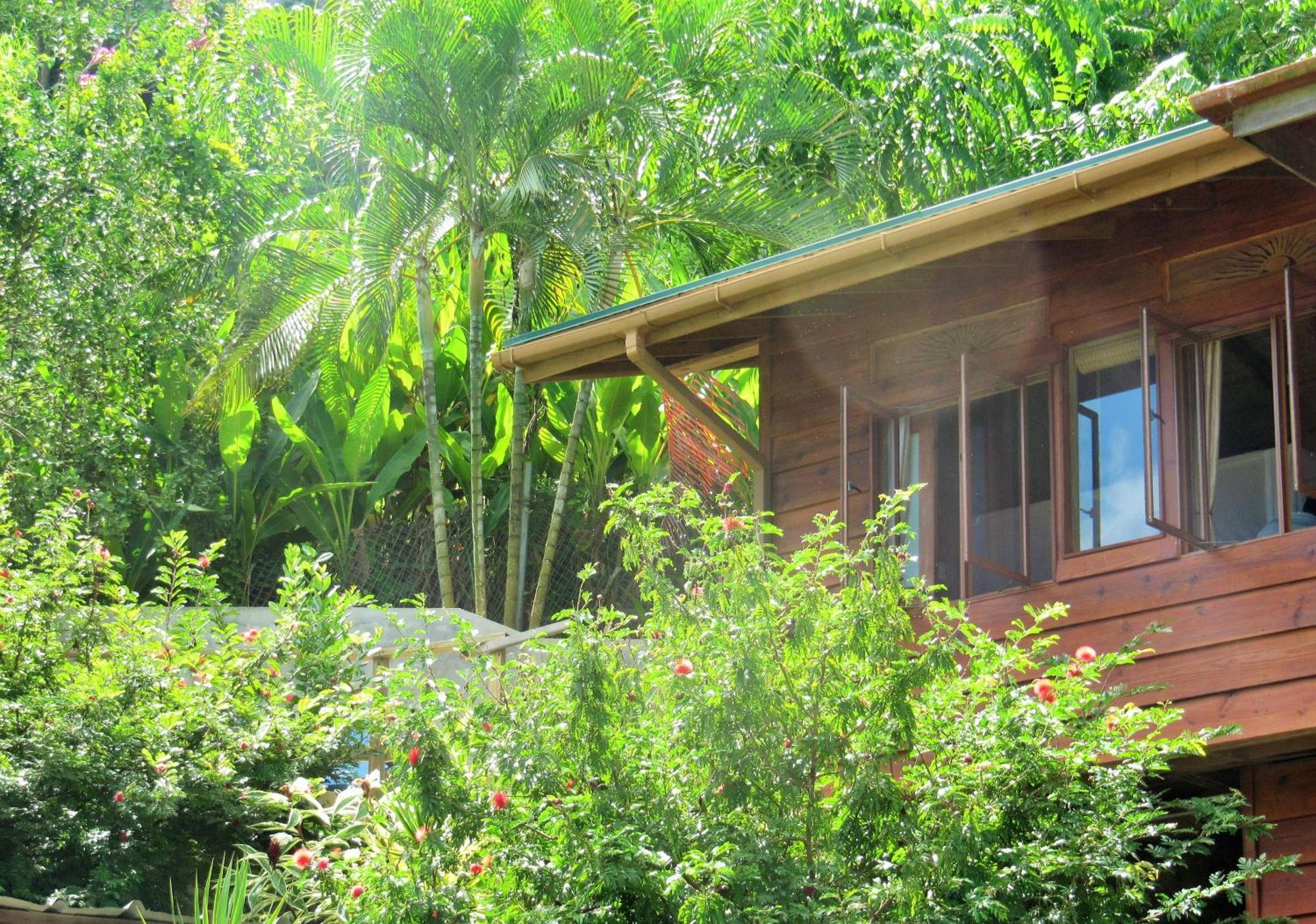 Apartamento Castara Retreats Habitación foto